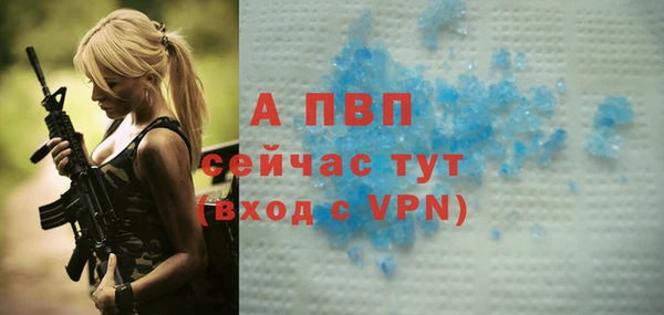 молекула духа Гусев