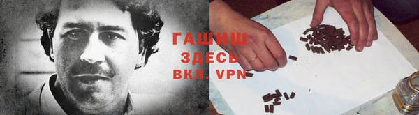 молекула духа Гусев