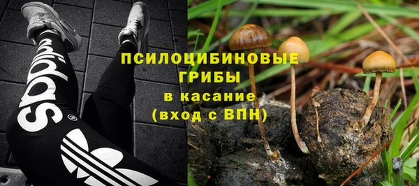 а пвп мука Гусиноозёрск