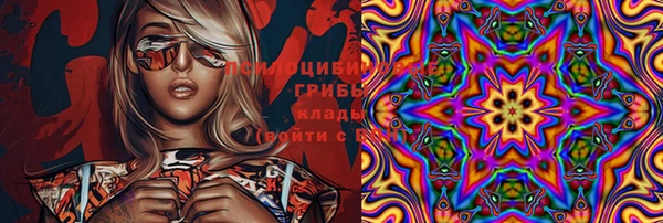 а пвп мука Гусиноозёрск