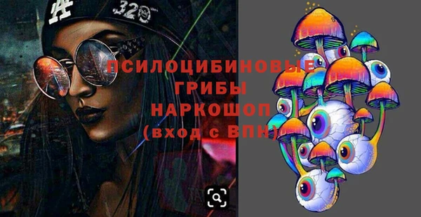 молекула духа Гусев